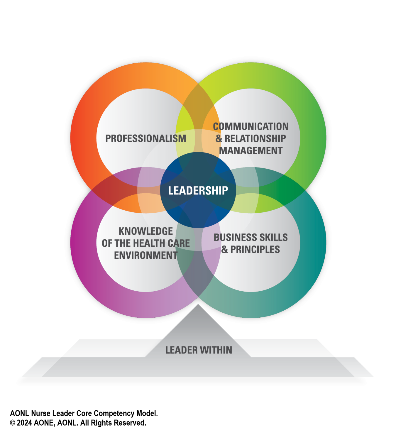 AONL Core Competencies