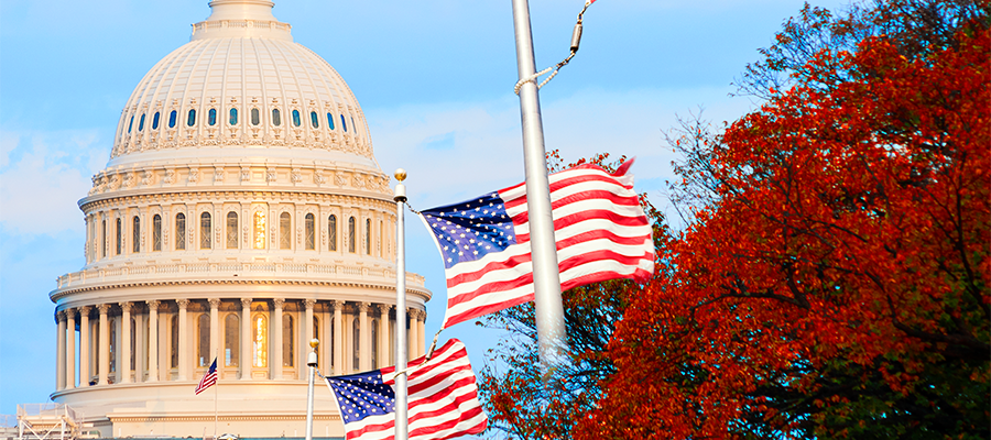 U.S. Capitol building with United States flags flying in front of it.